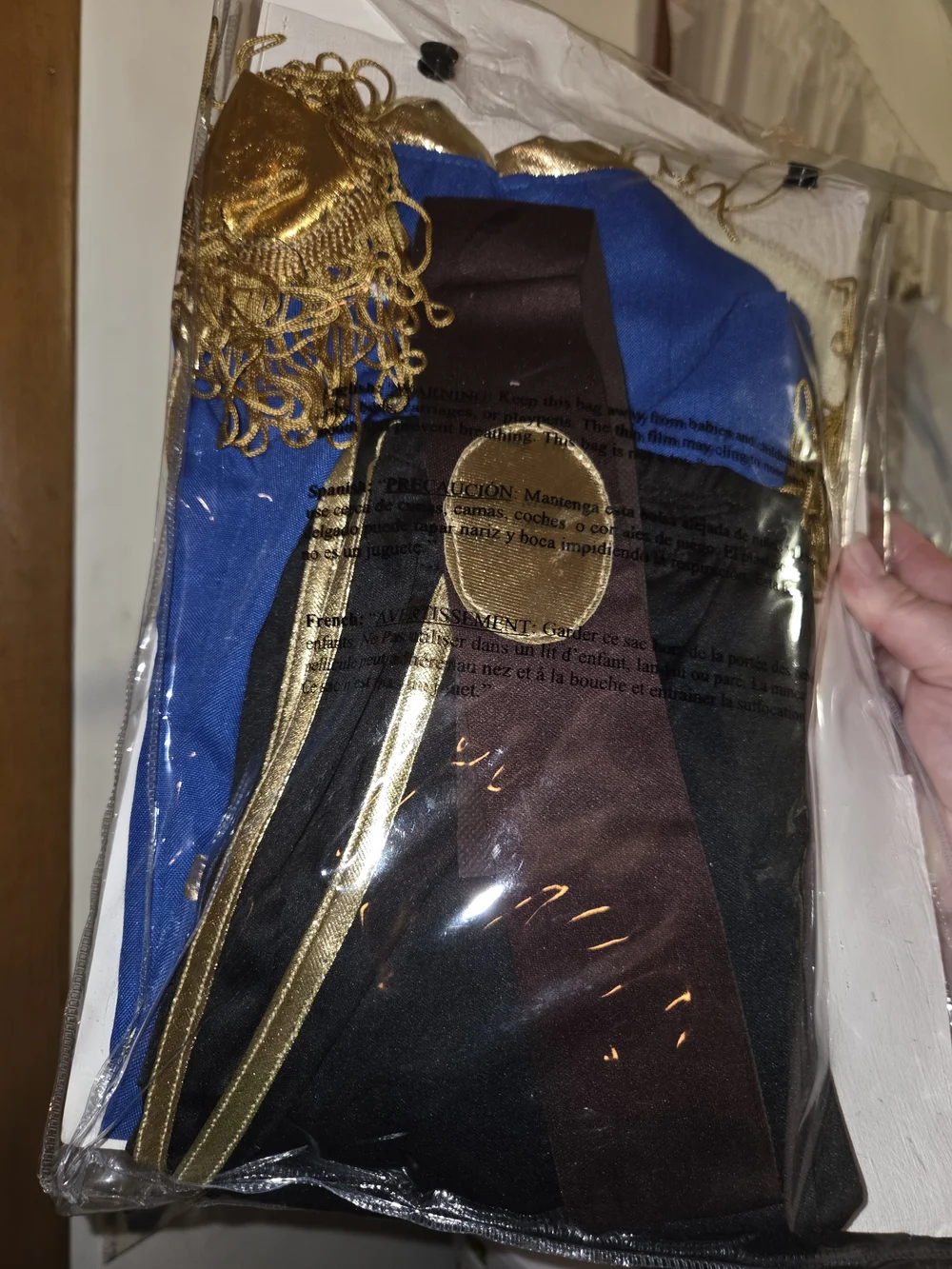 Handsome Prince Kids Costume - Blue and Gold